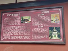 -凤栖山