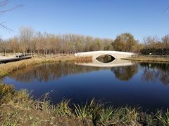 -东郊湿地公园