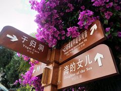 -南诏风情岛