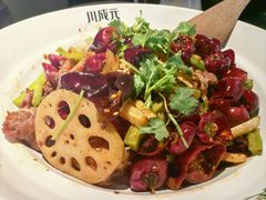 -川成元·麻辣香锅(凯德MALL西直门店)