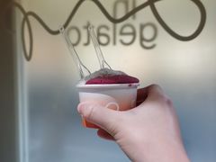 -Dip in Gelato(富民路店)