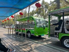 -合肥滨湖国家森林公园