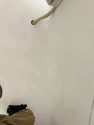 -清颜堂丨分子祛痘·功效美肤