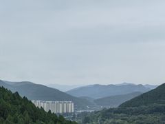 -佛慧山