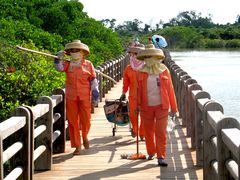 -东寨港红树林旅游区