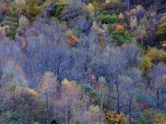 -叠溪松坪沟景区