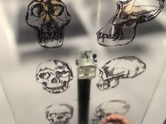 -北京周口店北京人遗址博物馆