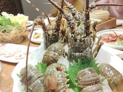 -尚海豆捞(乐虹坊店)