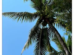 -三亚南山文化旅游区