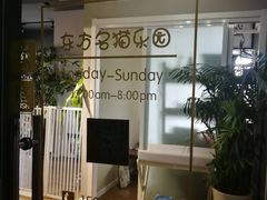 -东方名猫馆·英短金渐层布偶猫舍(环线广场1号楼店)