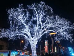 -五道口枣糕王(成府路店)