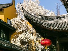 -龙华寺