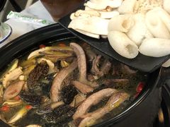 -蘑统田下·野生菌火锅