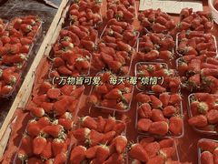 -李村大集