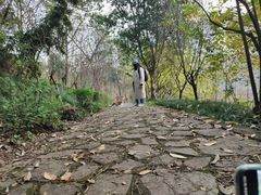 -重庆彩云湖湿地公园