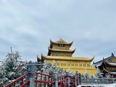 -小豆海棠(嘉兴路店)