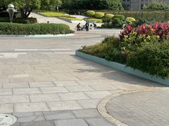 -深圳国际园林花卉博览园