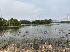 -芒洲湿地公园