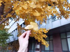 -中国农业大学(西校区)