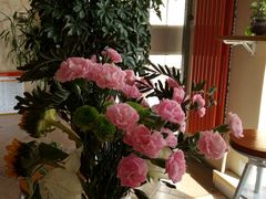 -青春加萌照相馆