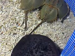 -左海海底世界