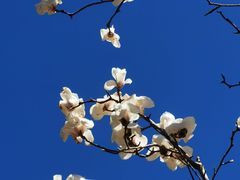 -甘井子公园
