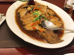 龙胆石斑鱼-国惠大酒楼(爱琴海购物公园店)