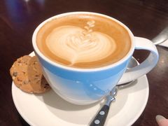 -bluefrog蓝蛙(皇庭广场店)