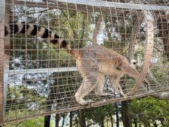 -沈阳森林动物园