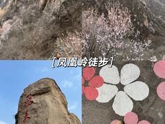 -北京凤凰岭
