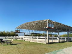 -上海崇明金茂凯悦酒店