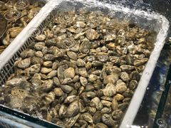 -搓火大都会(广安门总店)