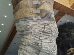 -延庆地质公园博物馆