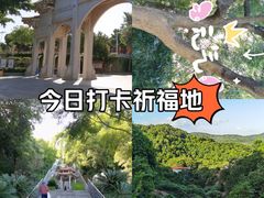-青礁慈济宫
