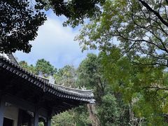 -小湾茶楼