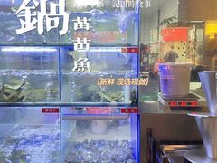 -石锅苗苗鱼(武汉首店)
