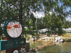 -鄂尔多斯野生动物园