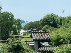 -慢丽江·云南野生菌土鸡锅(付家庄店)