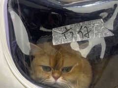 -FAELING PETS美天灵宠物(富力广场店)