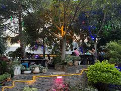 -山菌美食苑(振兴路店)