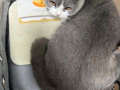 -阿荣24H宠物医院·综合型转诊中心·CT·核磁影像中心