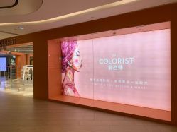 -THE COLORIST调色师