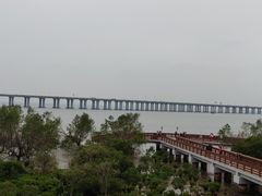 -宝安西湾红树林湿地公园