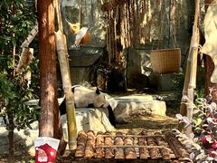 -泉州海丝野生动物世界