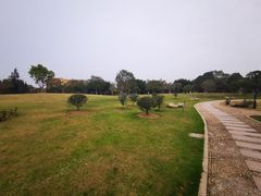 -河泥荡文化公园