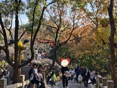 -灵岩山风景区