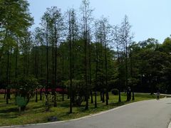 -晓港公园