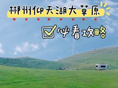 -仰天湖大草原