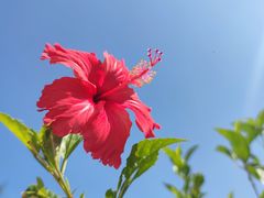 -五里桥文化公园-西侧停车场