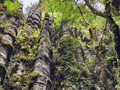 -梭布垭石林景区